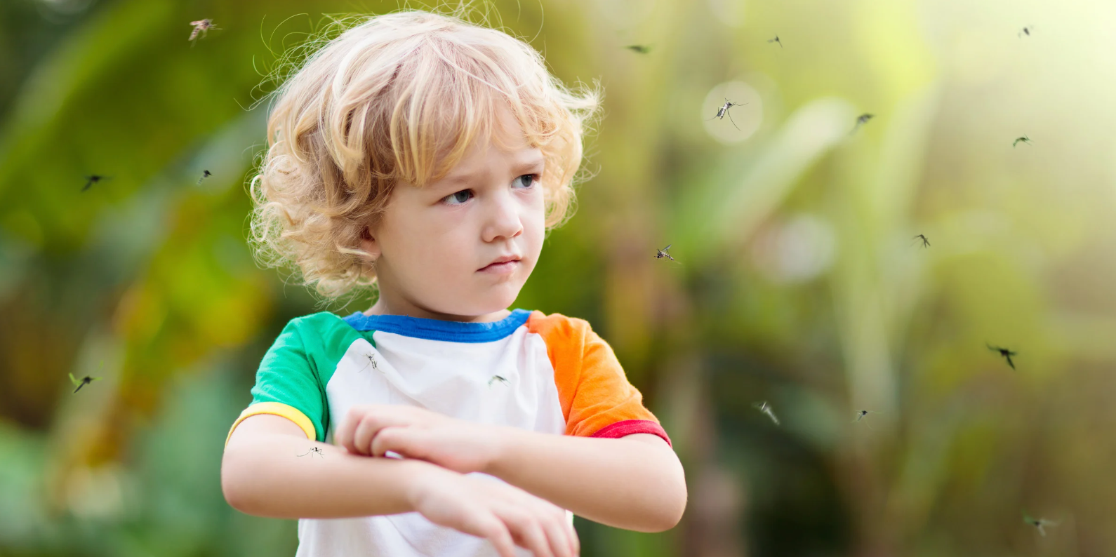 DEET et alternatives naturelles : quelle protection anti-moustique choisir ?